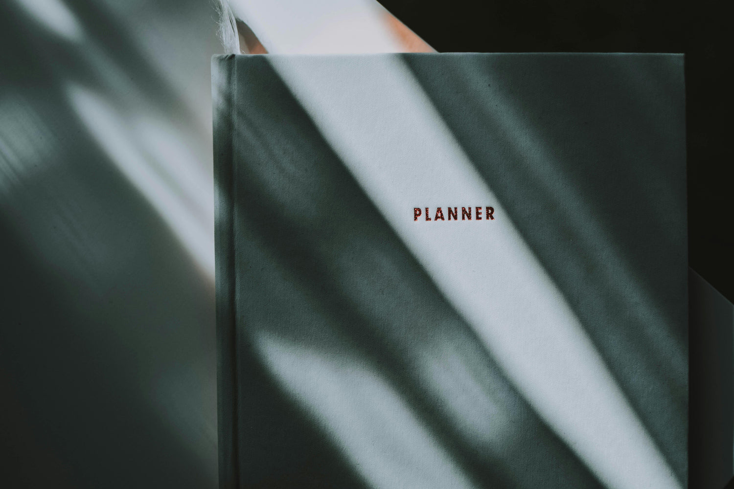 New Arrival Planners